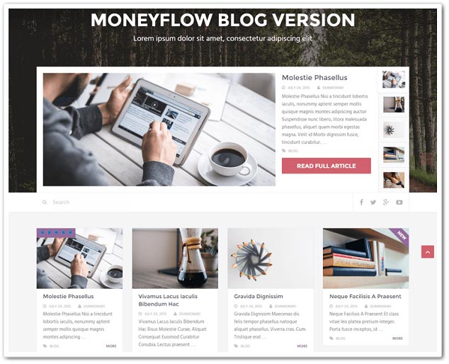 Wordpress Blog Teması - WordPress Blog Temaları - MoneyFlow