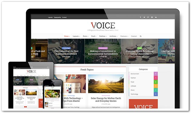 Wordpress Blog Teması - Voice