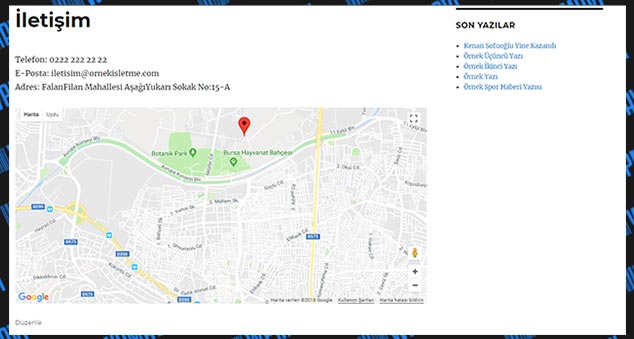 WordPress Google Maps Ekleme - Görünüm