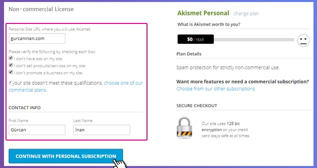 WordPress Akismet API Key 