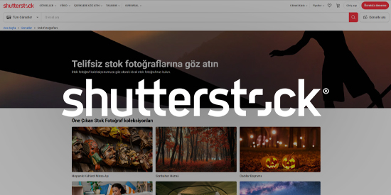 Telifsiz Fotoğraflar - ShutterStock 