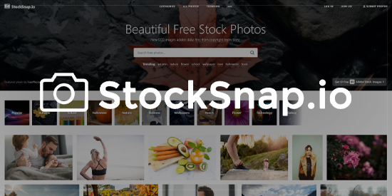 Yüksek Çözünürlüklü Fotoğraf Siteleri Ücretsiz - StockSnap