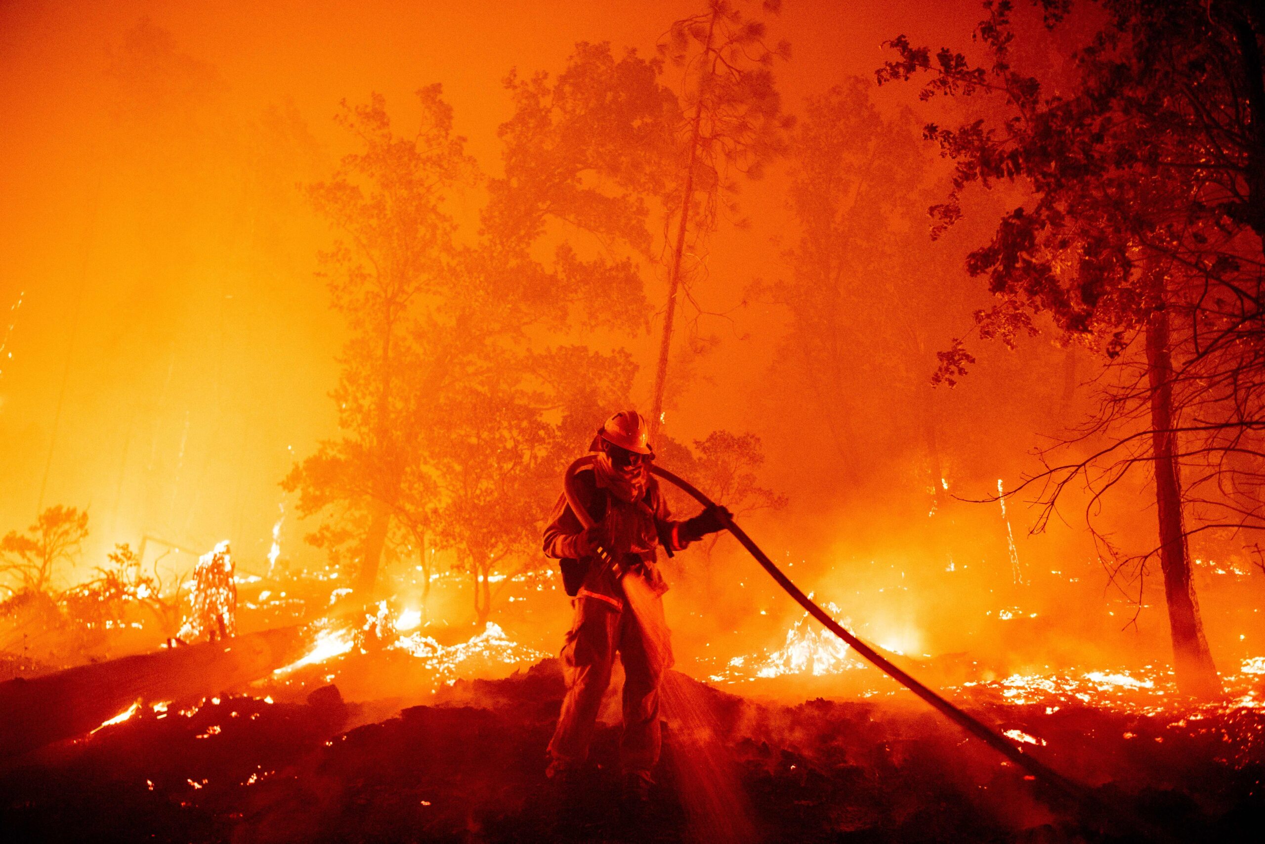 Overstretched wildland firefighters risk lung, heart maladies |  InvestigateWest