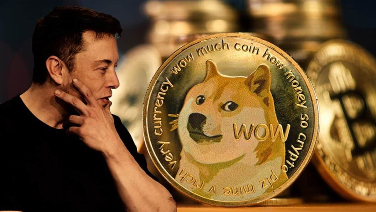 doge-coin-3jHG.jpg