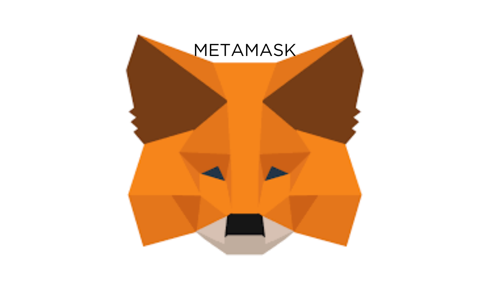MetaMask, Yeni Özellik Yayınladı